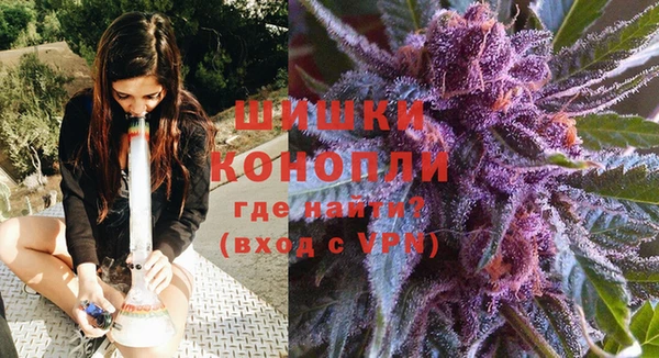 крисы Лабытнанги