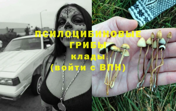 прущая мука Ладушкин