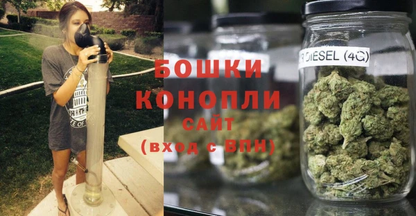 крисы Лабытнанги