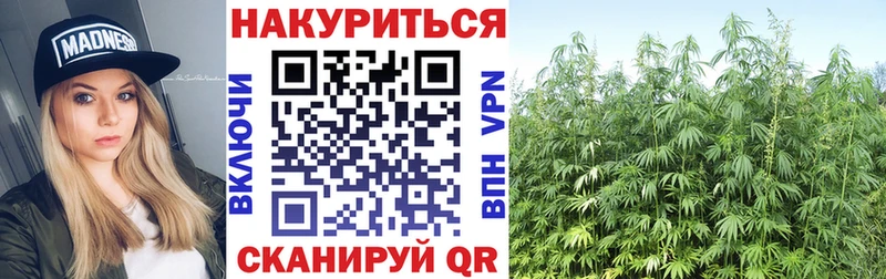 как найти наркотики  Нефтегорск  Конопля тримм 